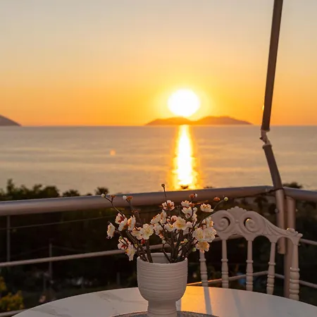 Fogadó Idi Vlora